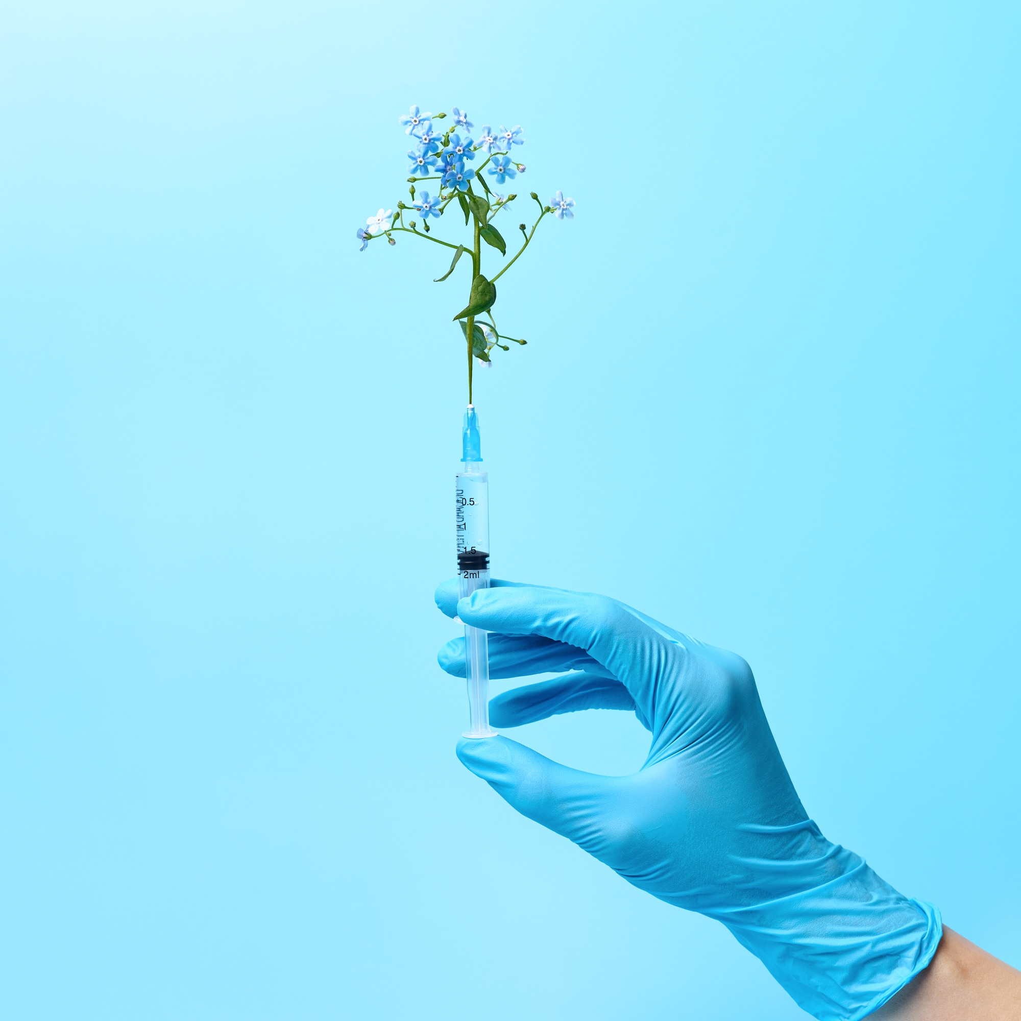 Gloved Hand Holding Syringe with Flowers, Beauty Injections Creative Concept.