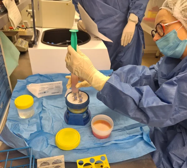 CellCenter Slovakia – Malacky | Mini-Stem System®